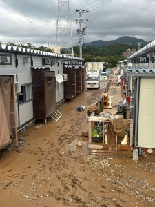 20240922_noto_sien_24