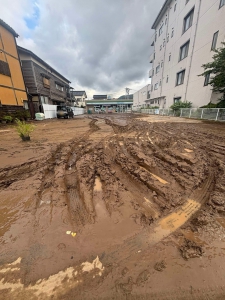 20240922_noto_sien_18