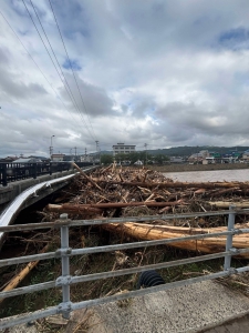 20240922_noto_sien_16