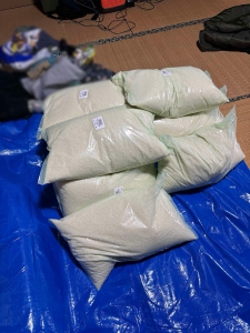 20240922_noto_sien_11