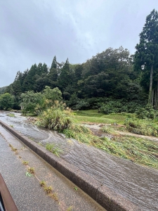 20240922_noto_sien_09