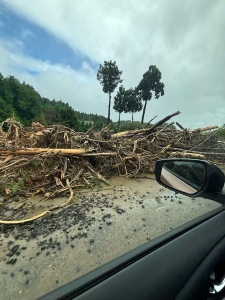 20240922_noto_sien_05