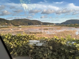 20240927_noto_sien14