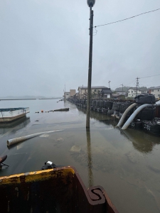 20240714_noto_sien_nanao06