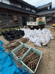 20240804_noto_sien_nanao04