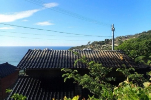 20240814_noto_sien_suzu04