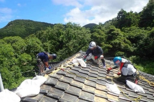 20240815_noto_sien_suzu02