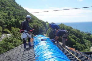 20240815_noto_sien_suzu03