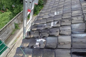 20240815_noto_sien_suzu06