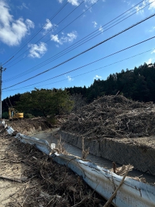 20241012_noto_sien_suzu01