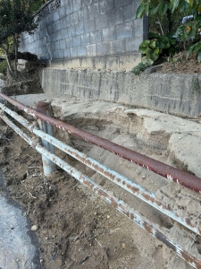 20241012_noto_sien_suzu03