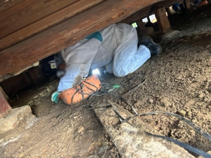 20241012_noto_sien_suzu04