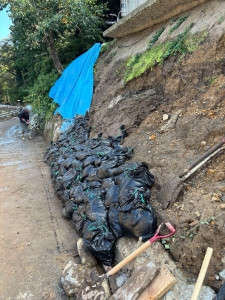 20241013_noto_sien_suzu04