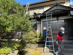 20241103_noto_sien_suzu01