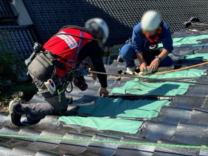 20241103_noto_sien_suzu02