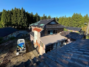 20241103_noto_sien_suzu05