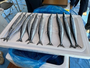 20241013_meguro_kumin_festival02