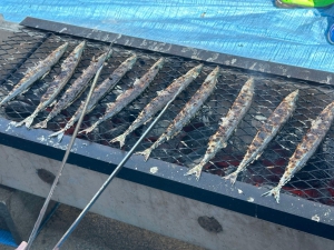 20241013_meguro_kumin_festival05